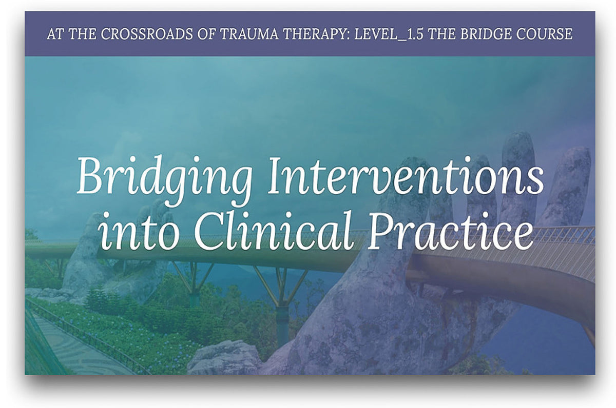The Bridge Course - WEBINAR