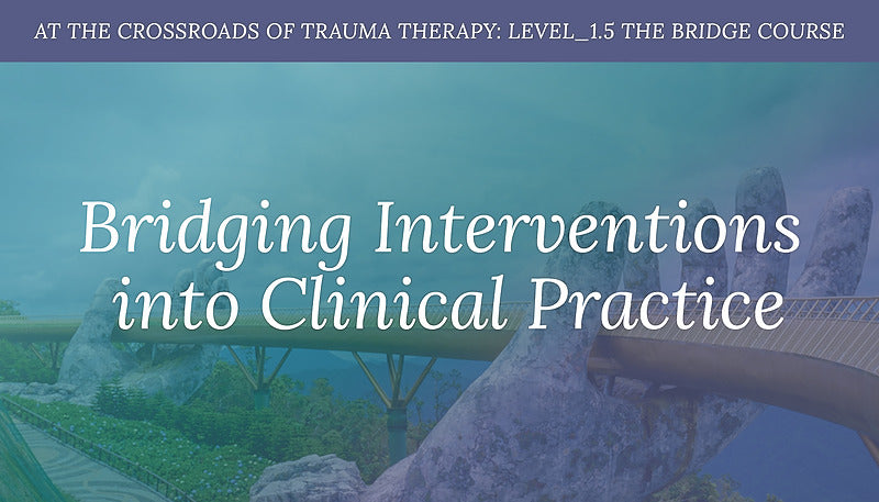 The Bridge Course - WEBINAR