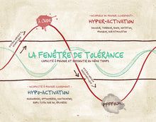 Load image into Gallery viewer, Se Rétablir d'un traumatisme - Guide simplifié destiné aux thérapeutes - livre électronique
