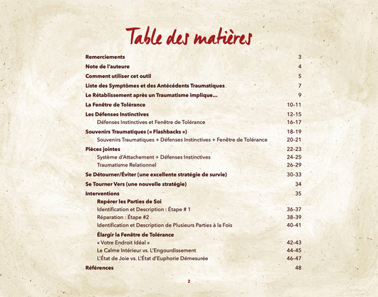 Se Rétablir d'un traumatisme - Guide simplifié destiné aux thérapeutes - livre électronique