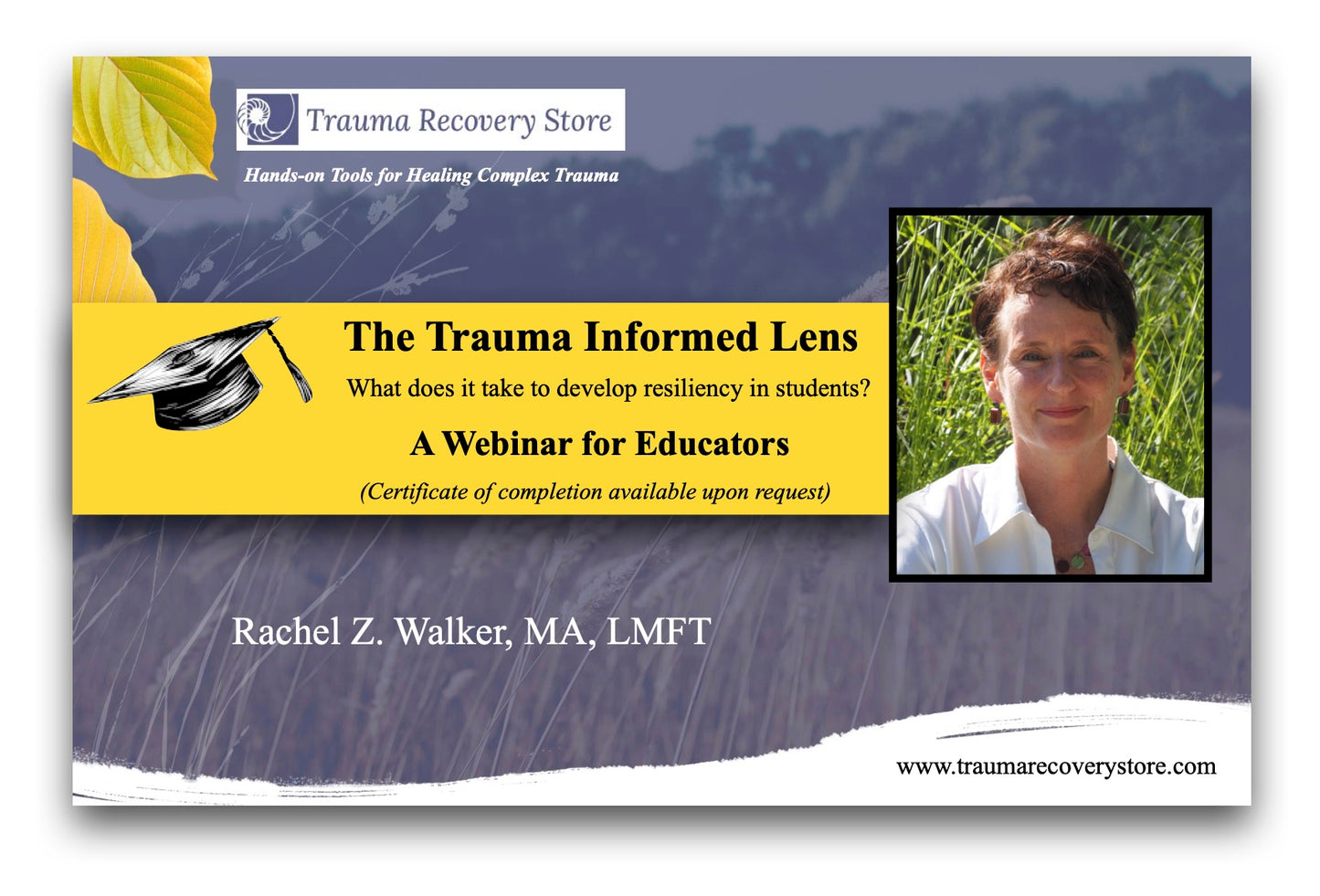The Trauma-Informed Lens for Educators: What Does It Take To Develop Resiliency In Students