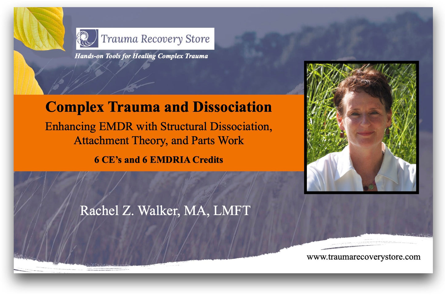 Trauma Complejo y Disociación - WEBINAR